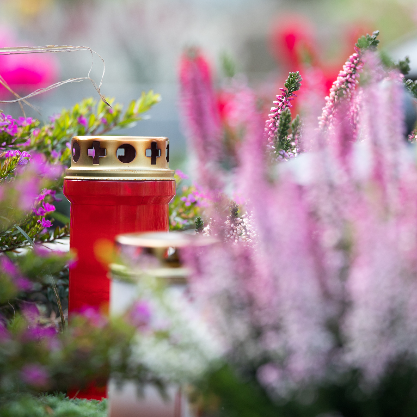 Kategoriebild Weitere