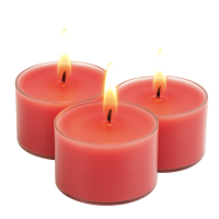 Candelo XXL Duftteelichter Rose 12er Set aus Sojawachs – Zart Rosa Jumbo Teelichter, 8h Brenndauer, Ø 3,7 cm, Höhe 2,7 cm – Duftkerzen mit Kunststoffhülle für starke Leuchtkraft