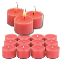 Candelo XXL Duftteelichter Rosen Duft 12er Set –...